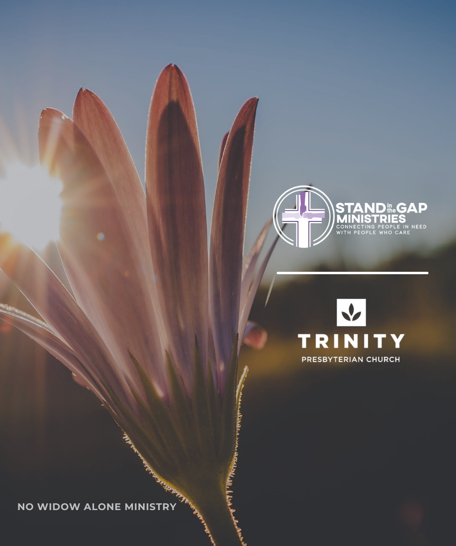 Graphic with image of sun shining through a flower with two partner company logos